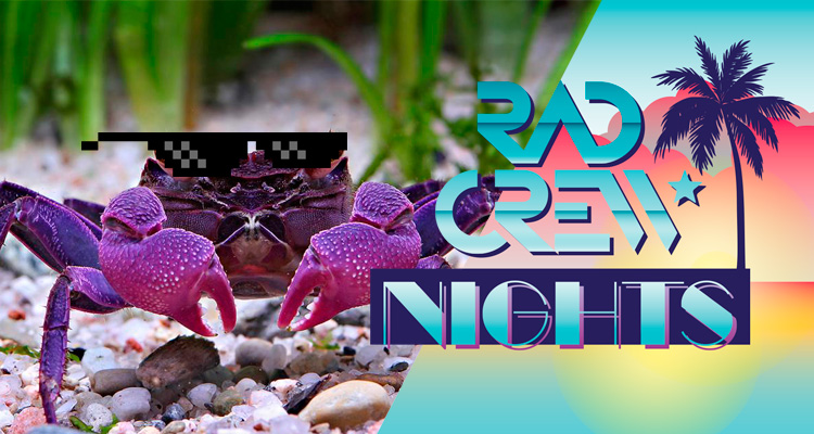 Rad Crew Nights S04E12: Krabbens år